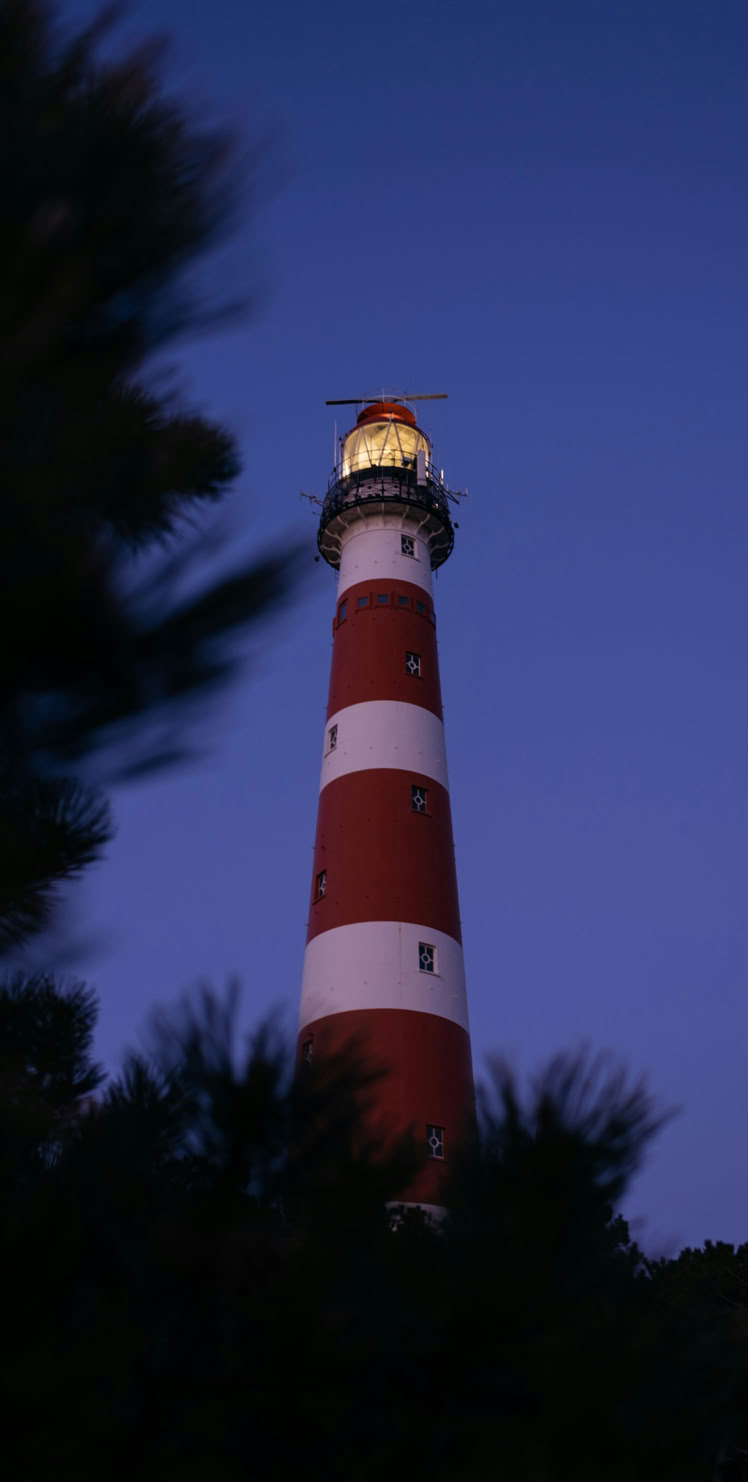 Vuurtoren met rood-witte strepen tegen een avondlucht, omringd door silhouetten van bomen.